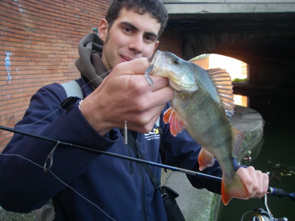 IMGP2214 [1600x1200]_1.JPG